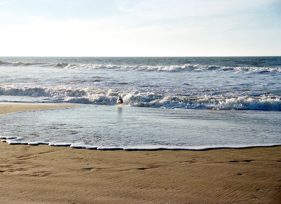 Strand en Noordzee bij De Koog op Texel