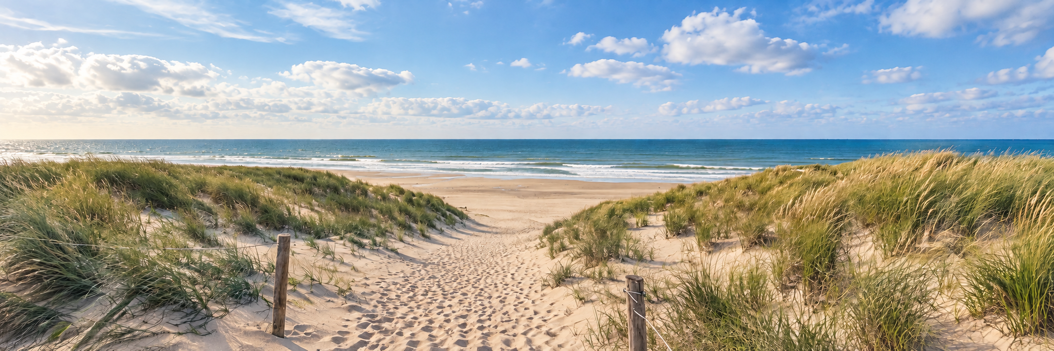 Panorama over de duinen, het strand en de Noordzee bij de Bleekersvallei op Texel